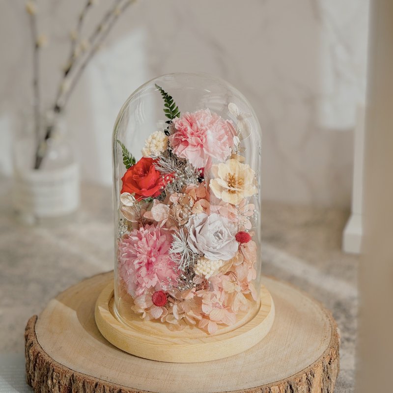 【现货】康乃馨玻璃盅专区.毕业礼物.母亲节礼物.永生花玻璃盅. - 干燥花/捧花 - 植物．花 多色