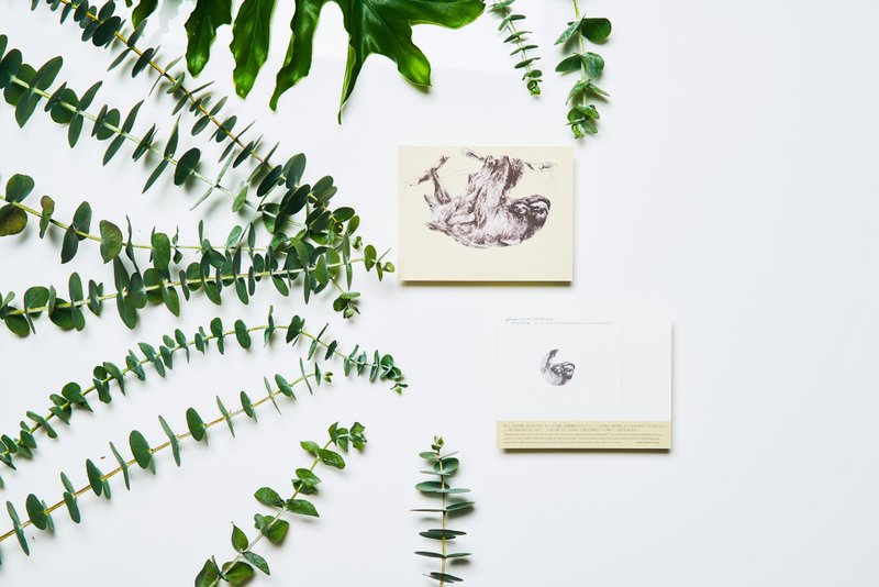 鬃毛三趾树懒, 濒危物种:明信片小卡/ 一卡一捐 - 卡片/明信片 - 纸 黄色