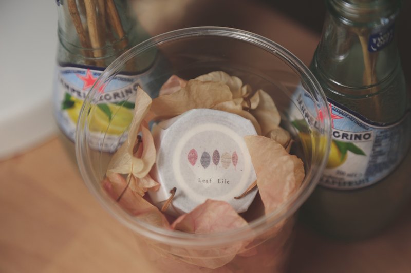 Leaf Life 日本和纸胶带 - 纸胶带 - 纸 白色