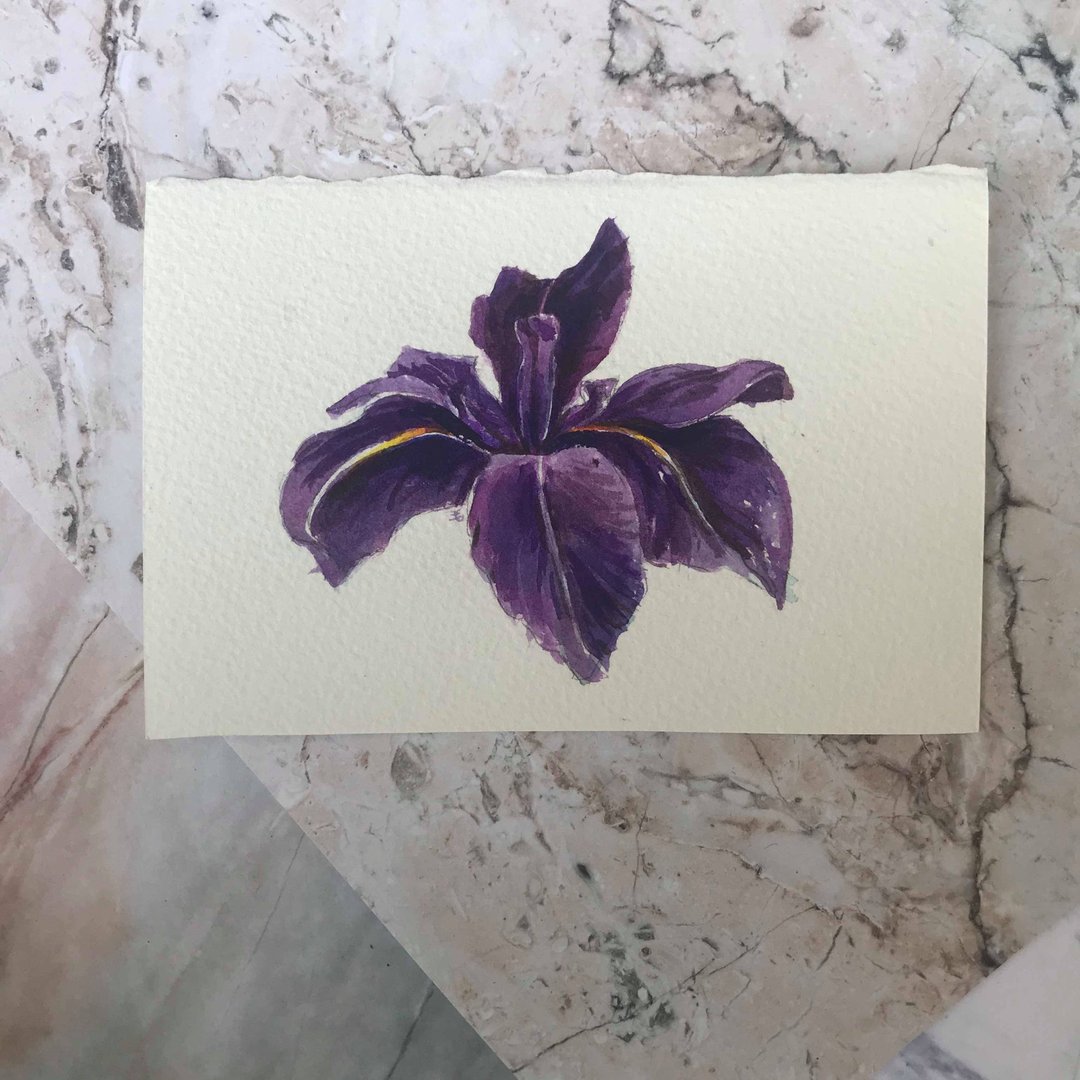 鸢尾花 水彩画 唯一一张 不含框 - 海报/装饰画/版画 - 纸 紫色