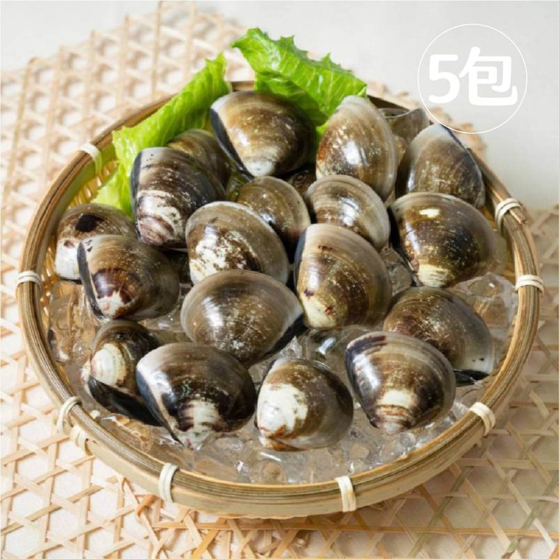 冠軍大文蛤 五包包邮 - 其他 - 新鲜食材 卡其色