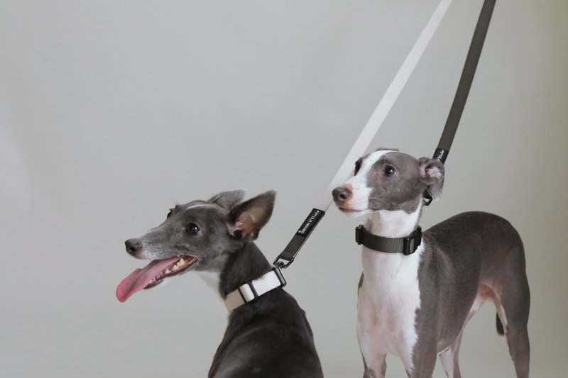 ULA HOUND解放双手狗狗多功能牵引绳半P防爆冲项圈组 - 项圈/牵绳 - 尼龙 