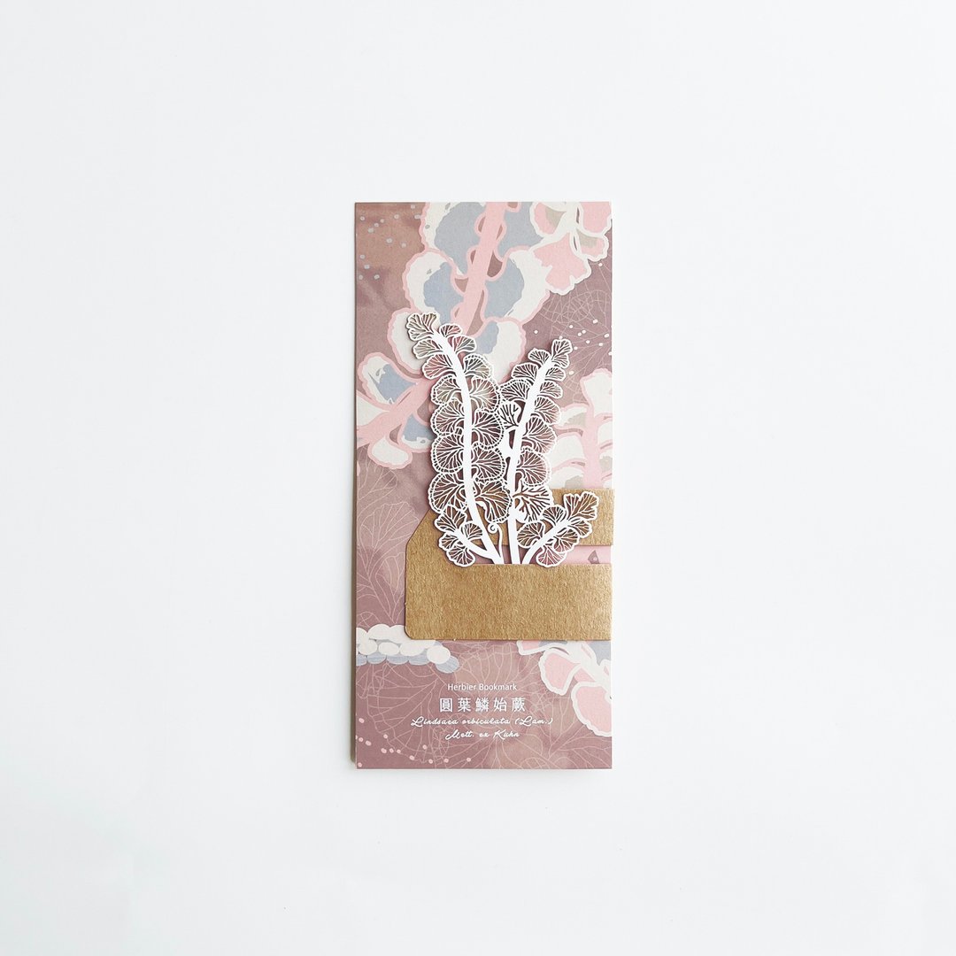 蕨类标本纸雕5.0 - 圆叶鳞始蕨 | 纸雕 书签 文具 蕨类 书 书籍 - 书签 - 纸 白色
