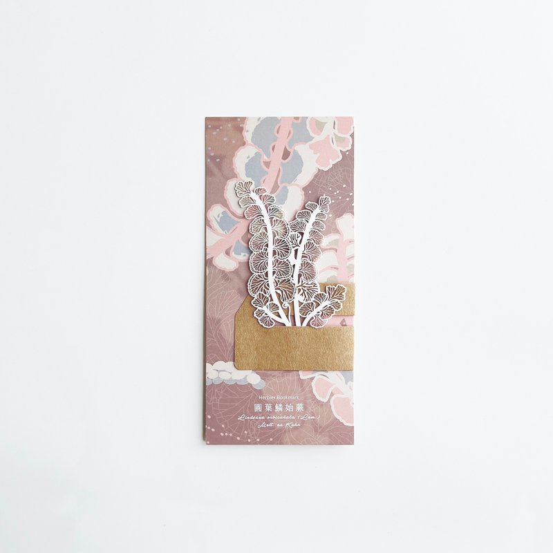 蕨类标本纸雕5.0 - 圆叶鳞始蕨 | 纸雕 书签 文具 蕨类 书 书籍 - 书签 - 纸 白色