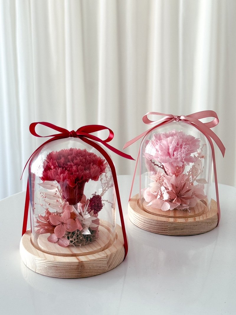 母亲节限定永生康乃馨玻璃小钟罩 - 干燥花/捧花 - 植物．花 多色