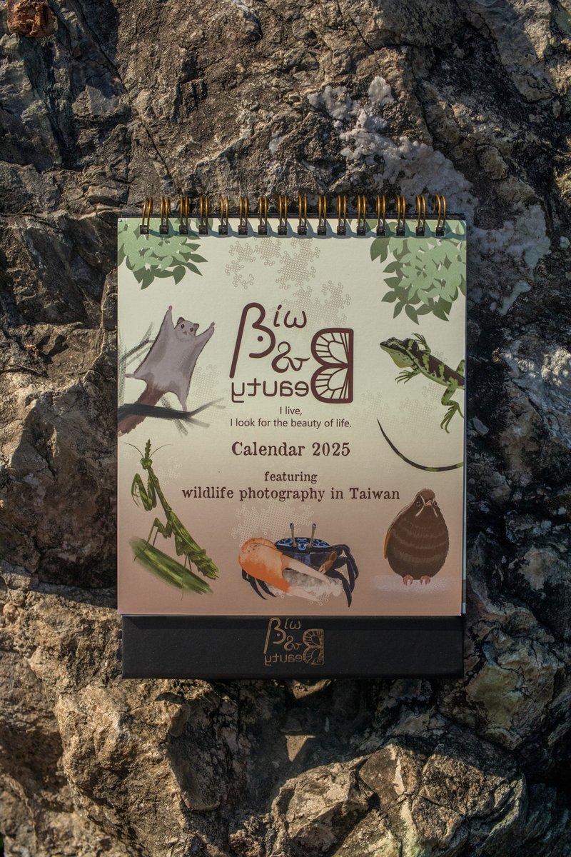 *捐助公益*2025生态摄影桌历 - 年历/台历 - 纸 金色