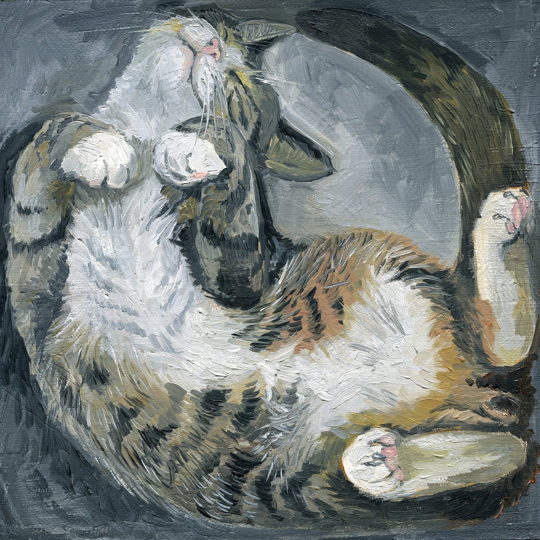 Original oil painting Sleeping cat Handmade animal art  Framed 12 by 12 inches - 墙贴/壁贴 - 其他材质 灰色