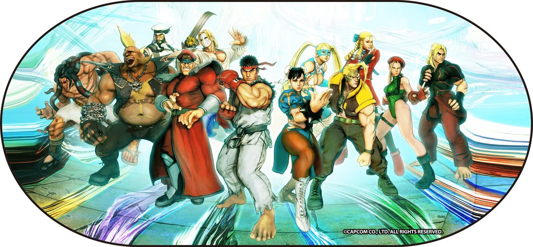 街霸V官方美术图汽车太阳挡 (街头霸王/快打旋风/Street Fighter) - 其他 - 其他人造纤维 