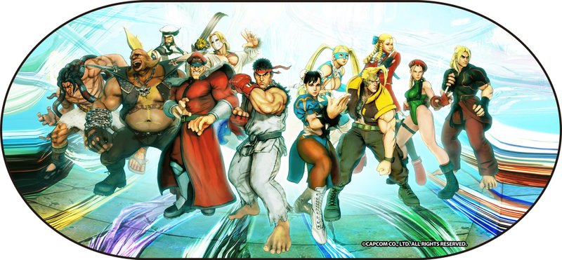 街霸V官方美术图汽车太阳挡 (街头霸王/快打旋风/Street Fighter) - 其他 - 其他人造纤维 