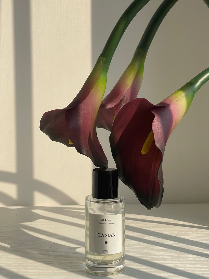 黑醋栗与忍冬 - 费洛蒙香水 - 礼物首选 - 香水/香膏 - 玻璃 透明