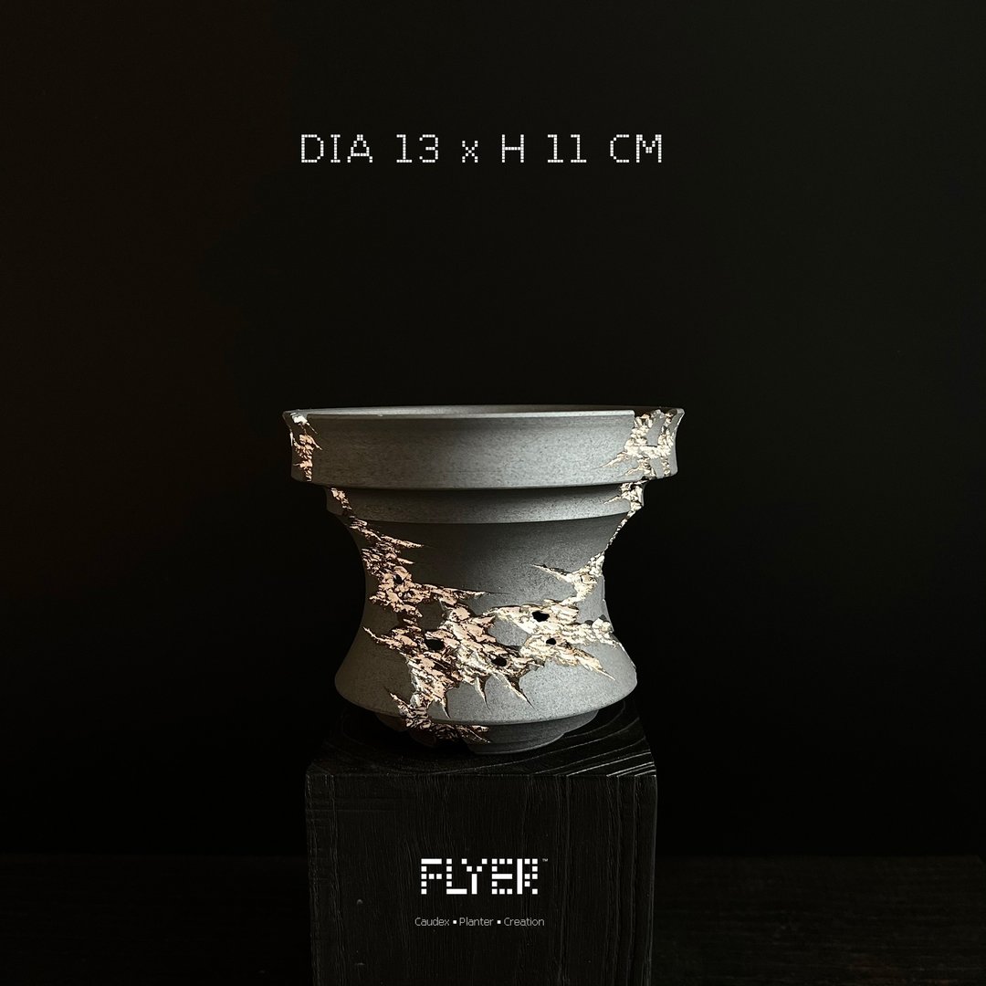 FLYER裂纹系列 块根多肉植物陶盆器 龙舌兰象牙宫盆器 - 花瓶/陶器 - 陶 