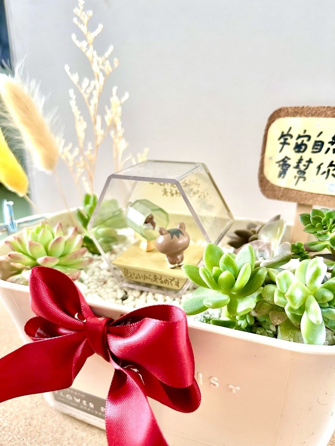 多肉组盆 多肉植物 日式枯山水 松鼠 鼠家长送礼 小鼠 植物盆栽 - 植栽/盆栽 - 植物．花 绿色