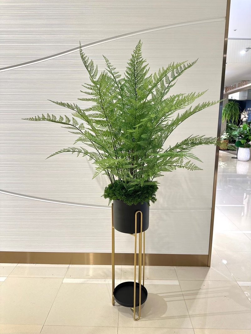 高拟真马耳蕨落地植栽 包邮专人配送限双北市 其余地区需补运费 - 植栽/盆栽 - 其他材质 绿色