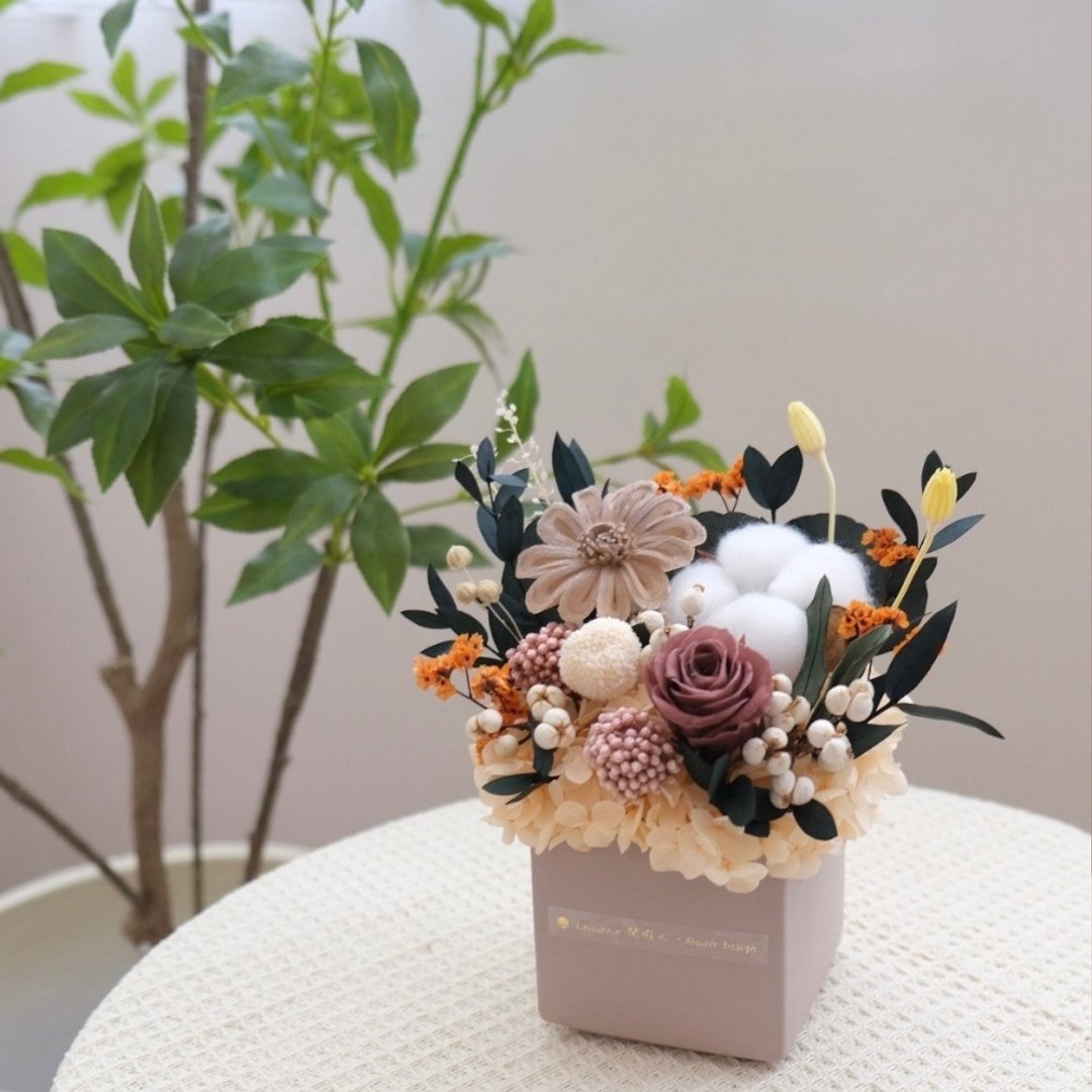 方型永生小盆花 焦糖 - 干燥花/捧花 - 植物．花 卡其色