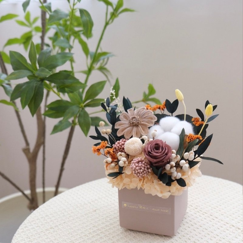 方型永生小盆花 焦糖 - 干燥花/捧花 - 植物．花 卡其色