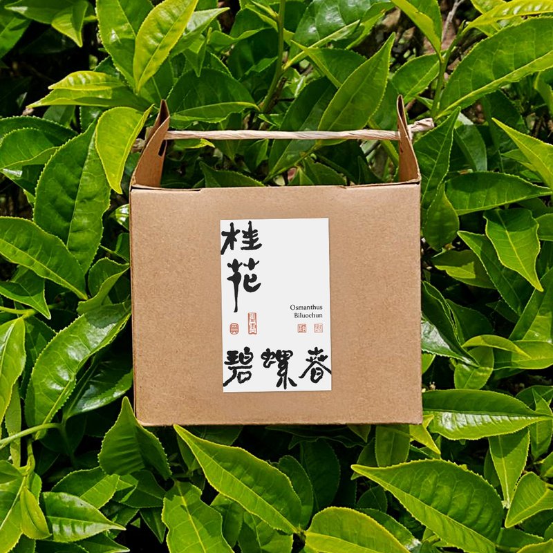 桂花碧螺春 | 茶包10入【鲜爽桂香】 - 茶 - 新鲜食材 