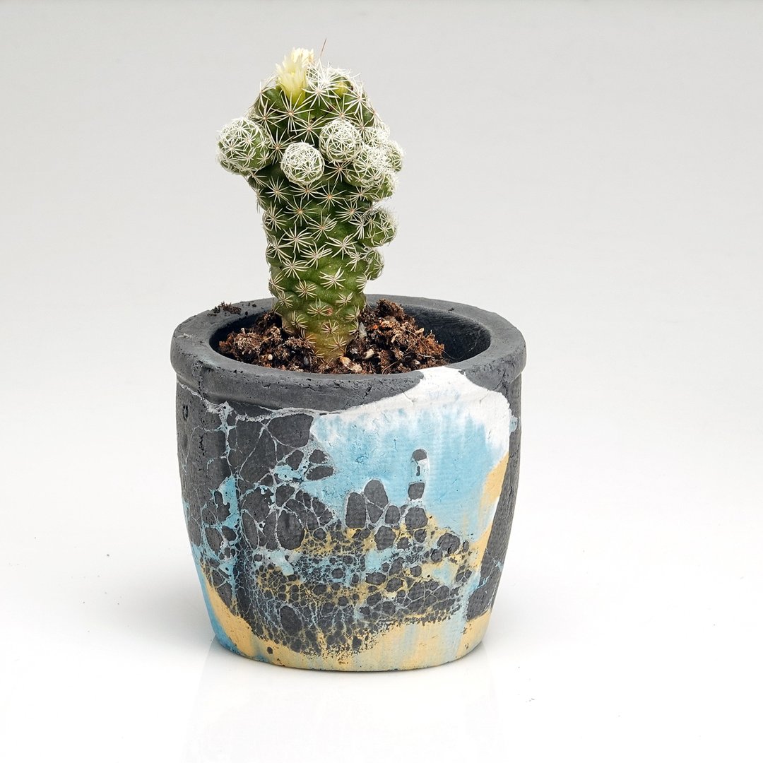 水泥盆器 - 植栽/盆栽 - 水泥 