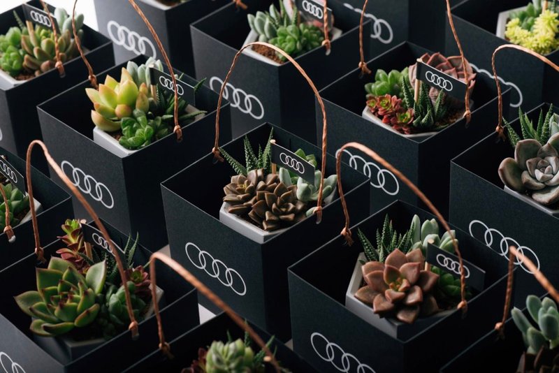 车商展间活动赠礼 / 定制化 订制 大量订购 台湾设计盆 - 植栽/盆栽 - 水泥 灰色