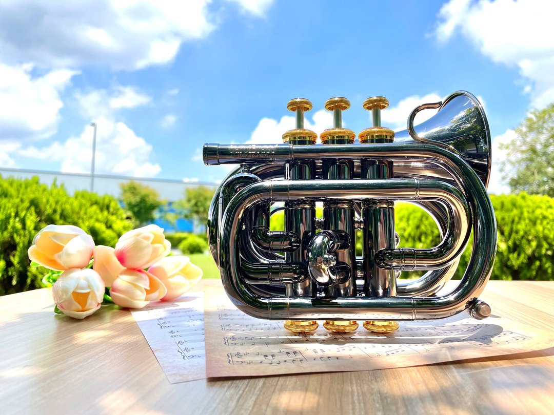 【人气限量款】CarolBrass  迷你小号-黑鹰 - 吉他/乐器 - 铜/黄铜 黑色