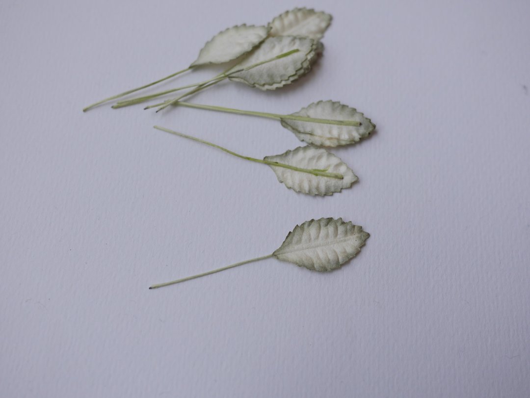 纸花，礼品装饰DIY用品：100片，绿刷白叶 - 其他 - 纸 绿色