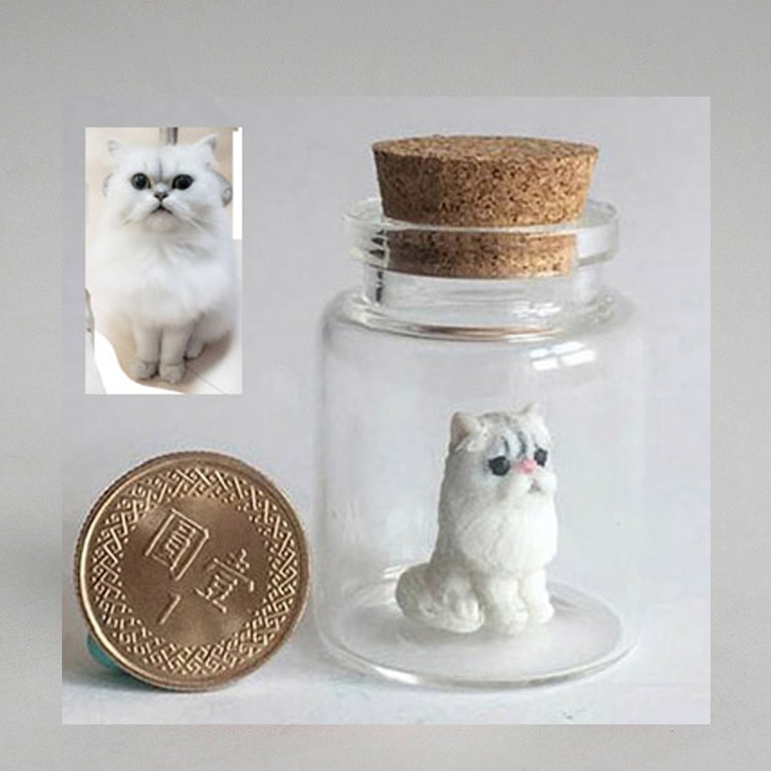 定制化 亲爱的我把宠物猫缩小了! - 其他 - 粘土 