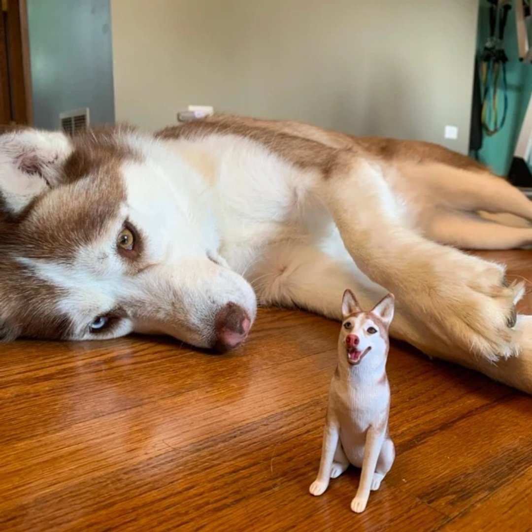 纯手工定制3D宠物艺术娃娃 订制狗狗猫咪毛小孩似颜绘肖像画公仔 - 玩偶/公仔 - 粘土 多色