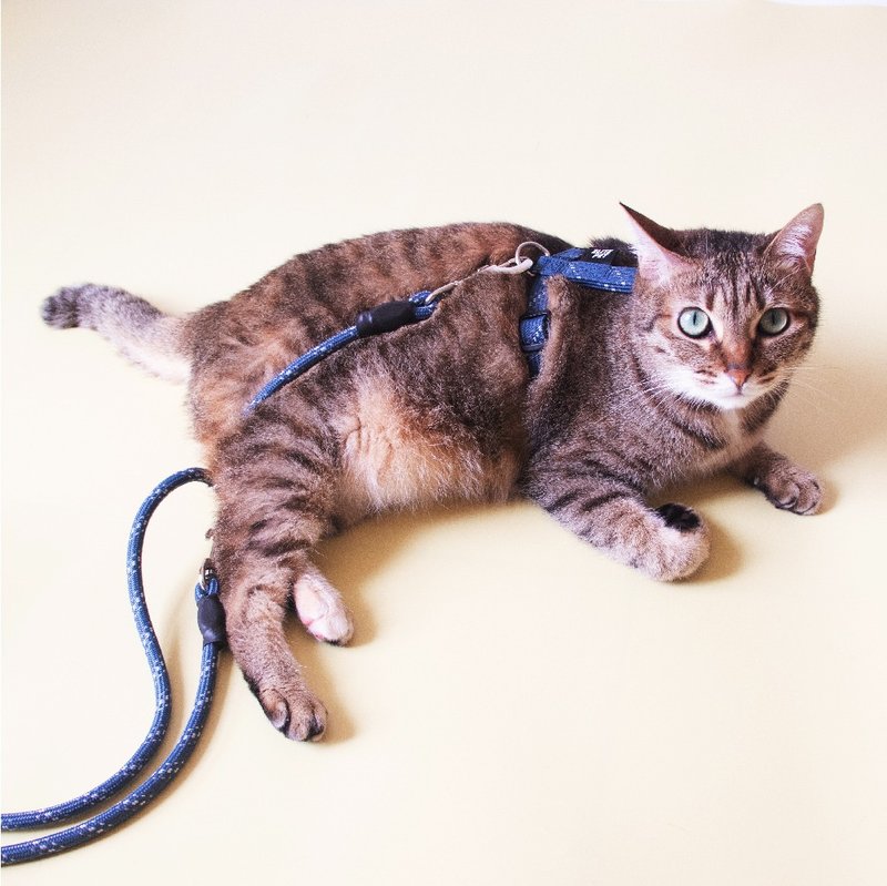 FLASH闪电系列 猫用工字胸背 軍藍 - 项圈/牵绳 - 尼龙 蓝色