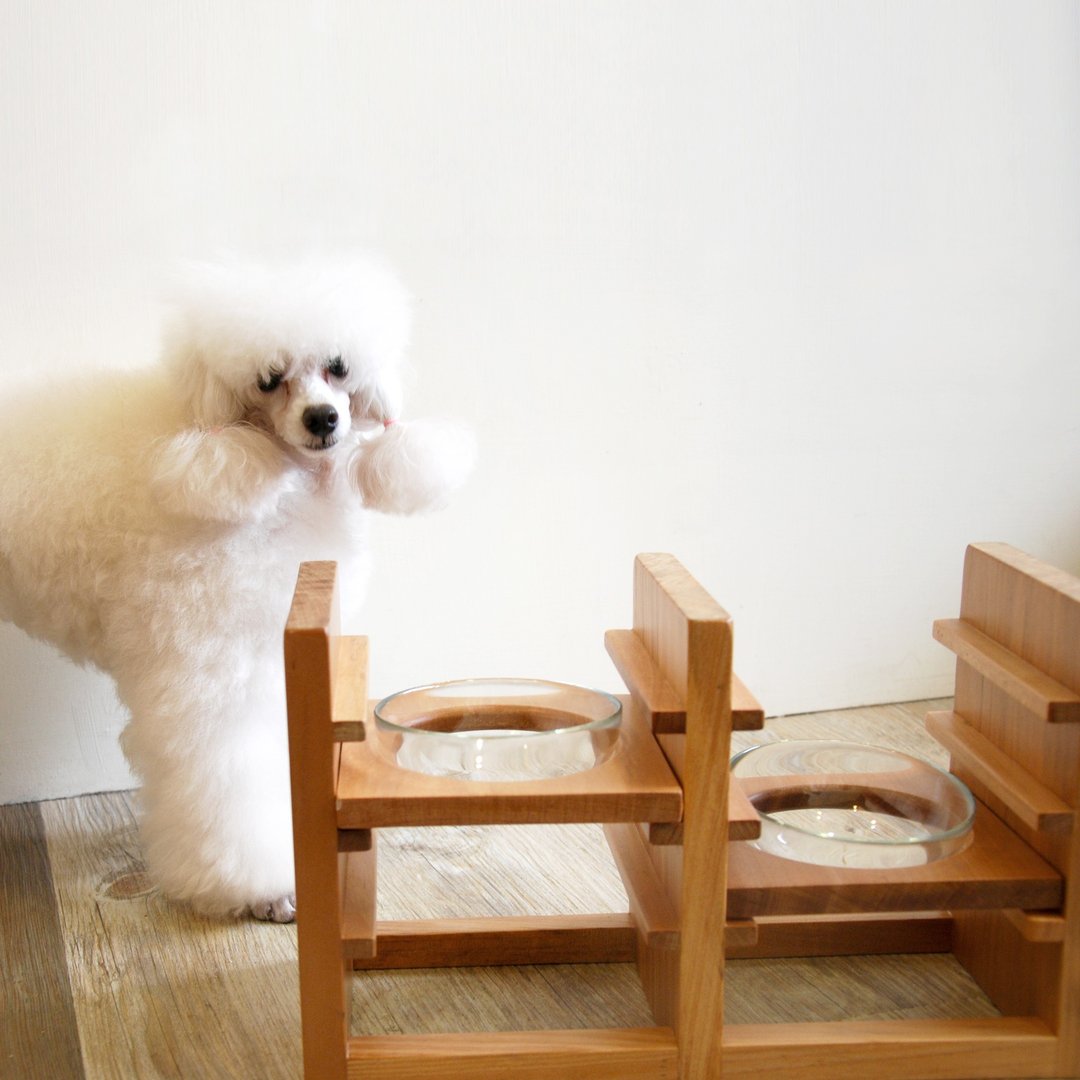 《斑马与狗．寸光》可调式宠物餐桌 三碗 中小型犬 狗餐桌 猫餐桌 独家设计 - 碗/碗架 - 木头 