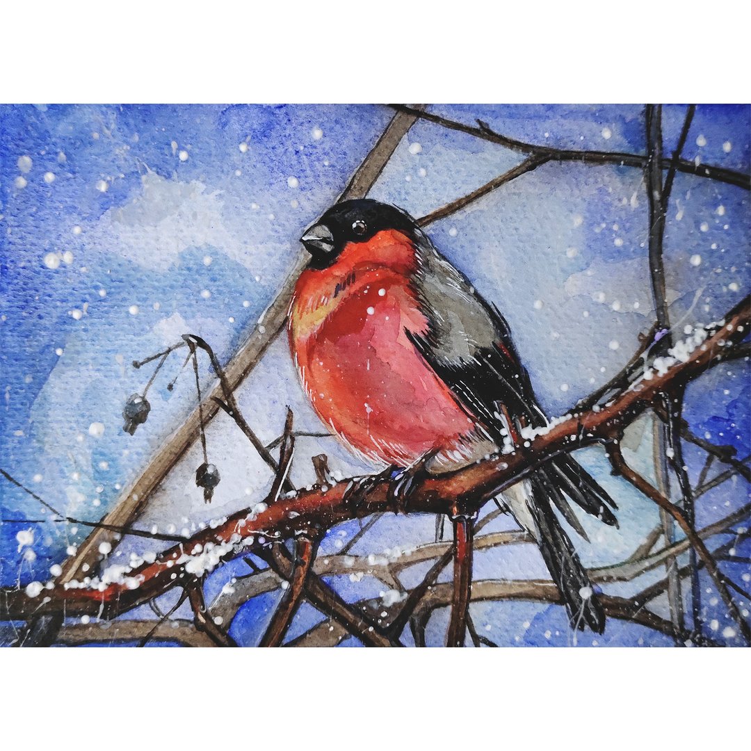 Bullfinch Painting Original Art Watercolor Painting Animal Artwork Bird Wall Art - 海报/装饰画/版画 - 纸 蓝色