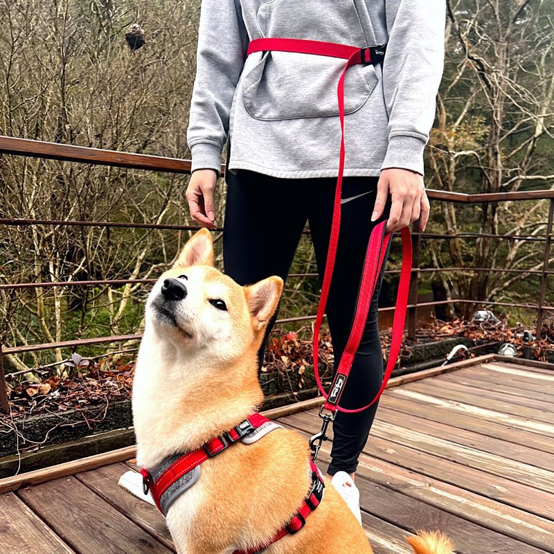 Woofy Woofy 多功能牵绳 210cm 跑步牵绳 灿烂红 宠物牵绳 狗用 - 项圈/牵绳 - 聚酯纤维 红色
