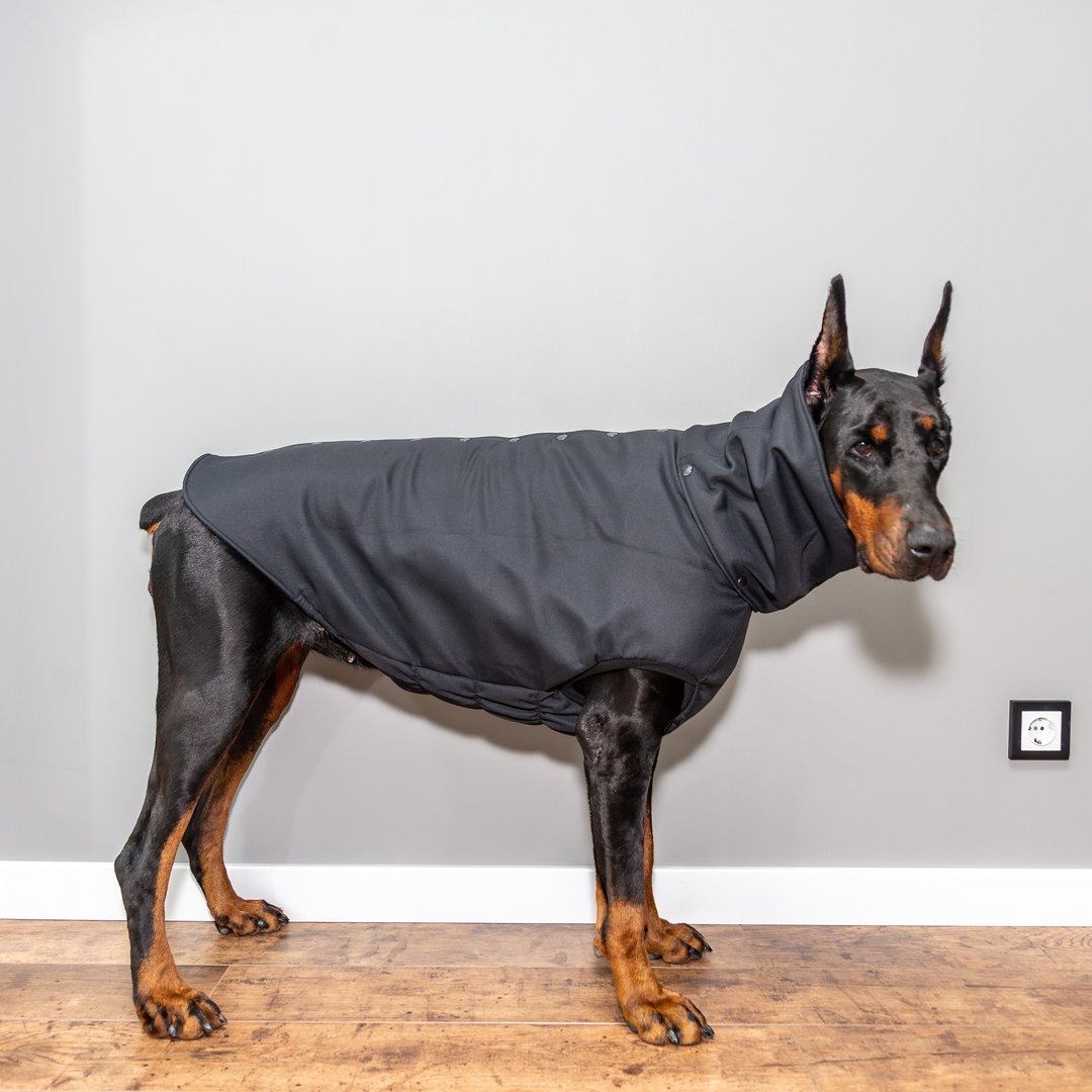 Doberman Pinscher Winter Dog Coat, Winter Jacket, Custom Waterproof Coat for Dog - 衣/帽 - 尼龙 黑色