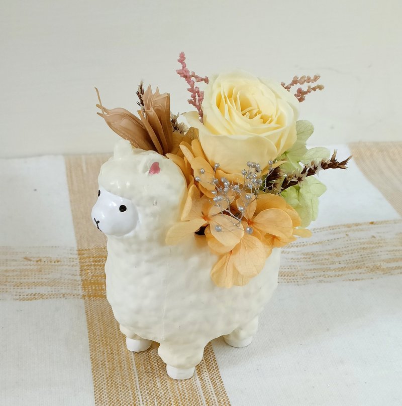 草泥马吉开运盆花  马年春节礼盒情人节花束生日开幕财运加马礼物 - 干燥花/捧花 - 植物．花 多色