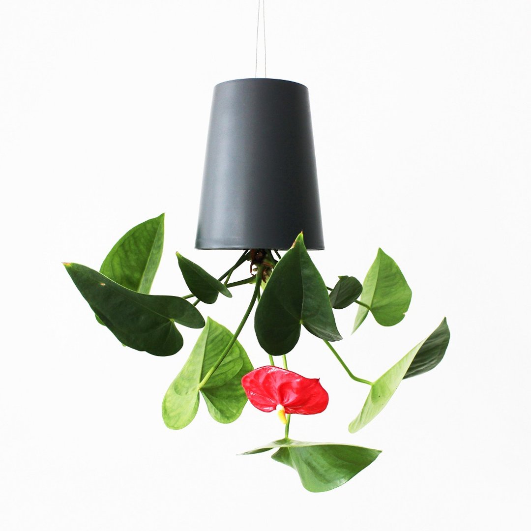 天空之盆 Self-Watering 倒挂花器 Medium 12cm-2入组 - 花瓶/陶器 - 塑料 黑色