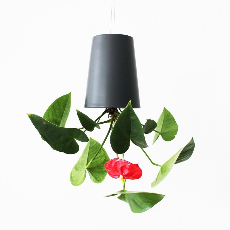 天空之盆 Self-Watering 倒挂花器 Medium 12cm-2入组 - 花瓶/陶器 - 塑料 黑色