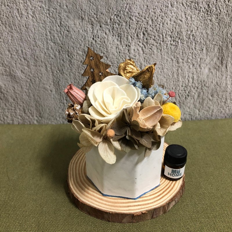 索拉花香氛小盆栽 干燥花 附1.5ml香精油 扩香石 - 干燥花/捧花 - 植物．花 白色