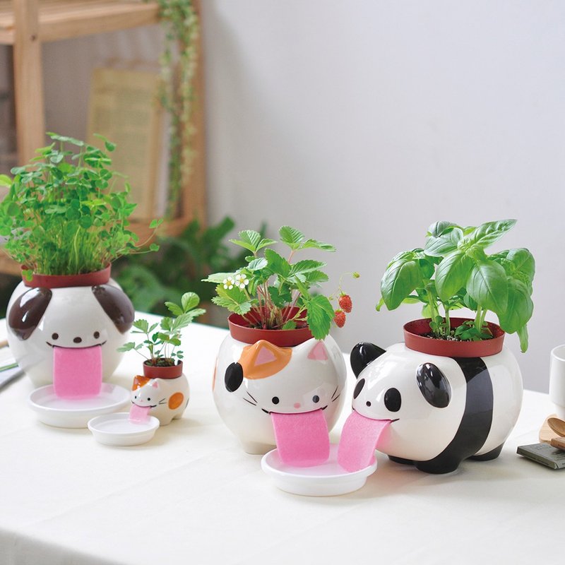 Peropon PAPA 水耕植栽盆器 / 吐舌动物 L(爸爸款) - 植栽/盆栽 - 陶 多色