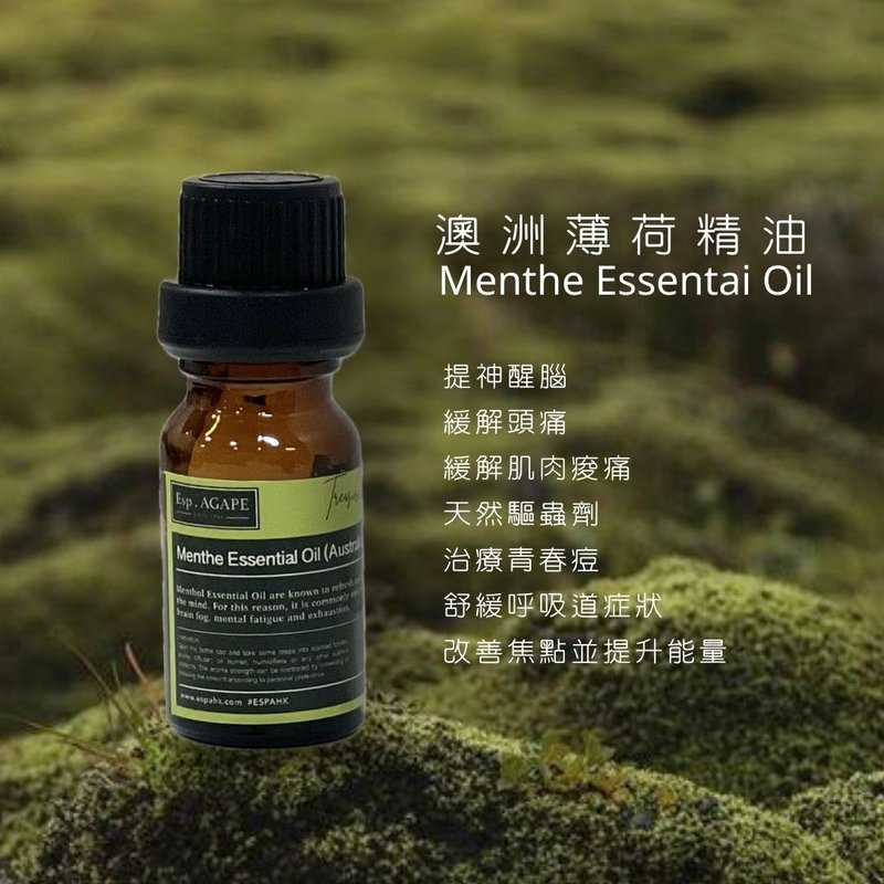 纯天然薄荷香薰精油 | Menthe | 10Ml - 香薰/精油/线香 - 精油 透明