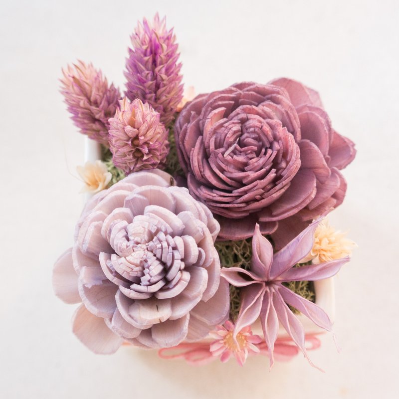 生日情人节礼物 法式香颂10号 贵气优雅盆花栽七夕情人节花束 - 植栽/盆栽 - 植物．花 紫色