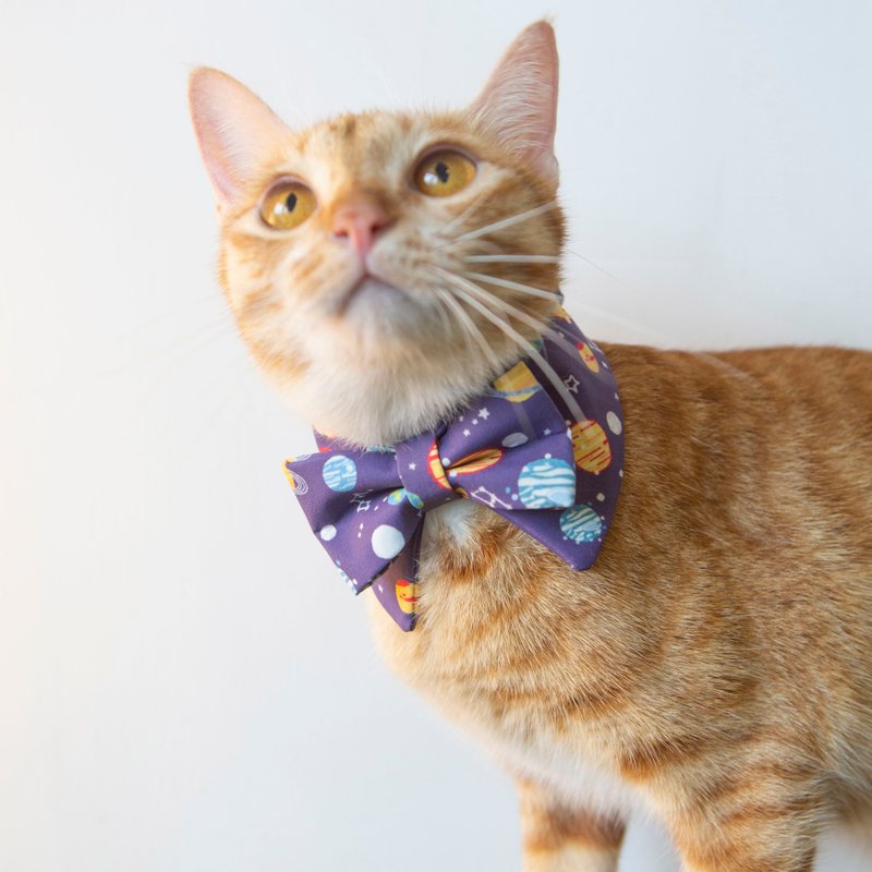 平衡宇宙 猫狗宠物项圈 领结造型蓝色围脖 可印名字 - 项圈/牵绳 - 其他人造纤维 蓝色