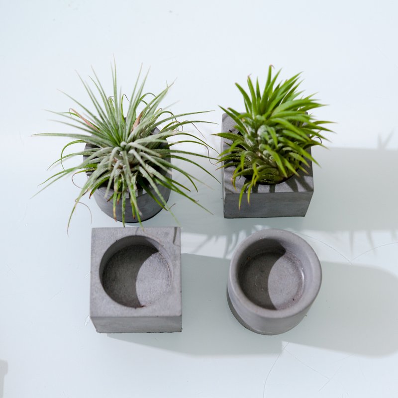 正方与正圆的绿精灵 - 植栽/盆栽 - 水泥 灰色