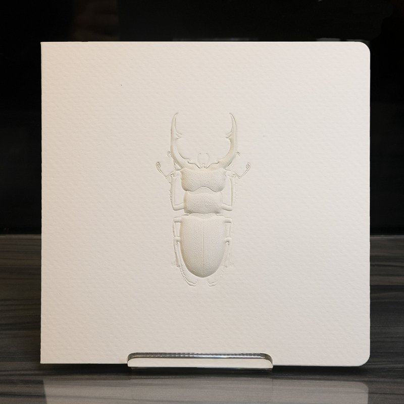 秋形虫浮雕卡片 - 卡片/明信片 - 纸 白色