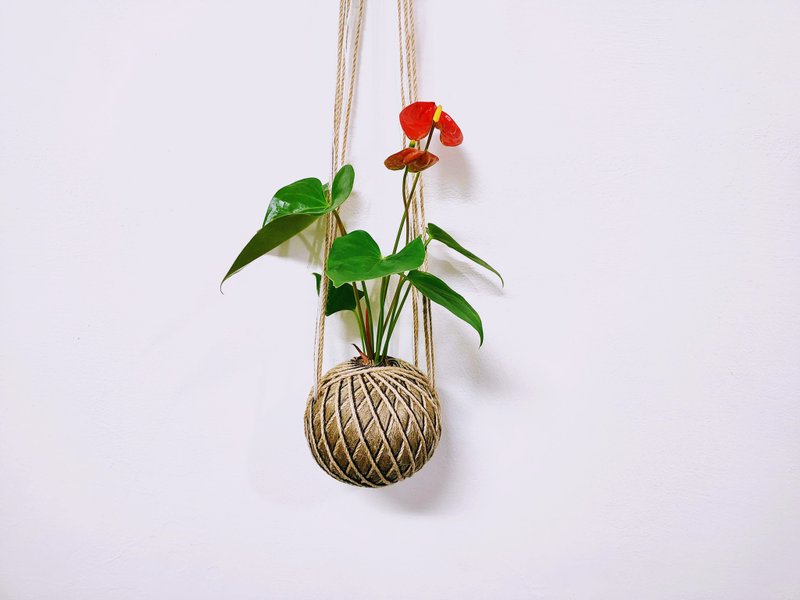 红火鹤苔球│室内植物│窗边植物│观叶植物 - 植栽/盆栽 - 植物．花 红色