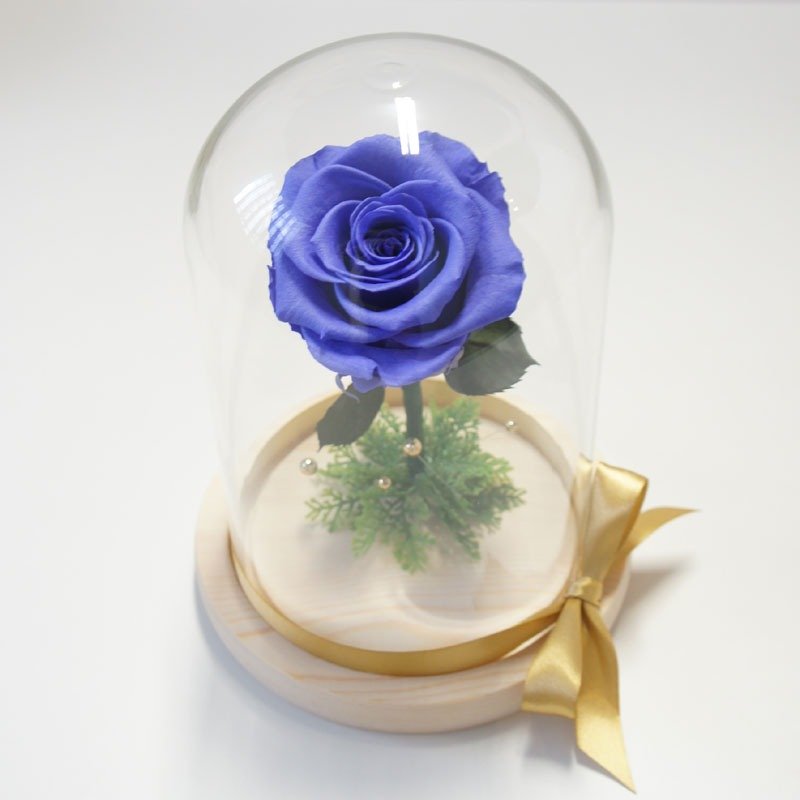 买一送一 不凋花玫瑰 大型玻璃罩花礼  马卡龙紫 - 干燥花/捧花 - 植物．花 紫色