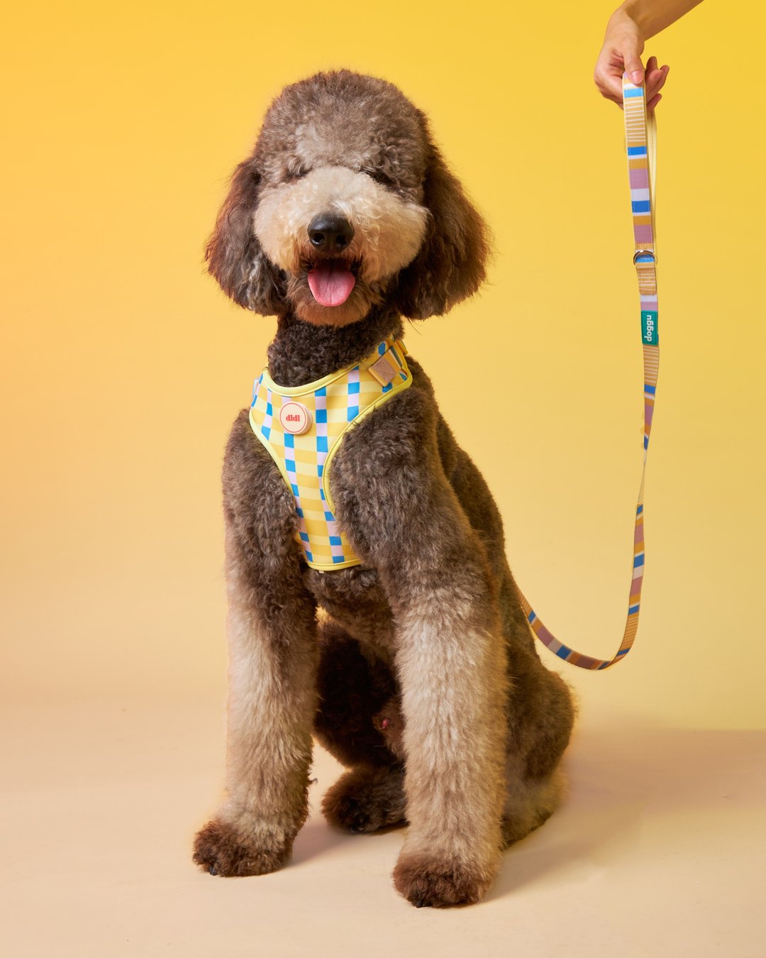 PERRY HARNESS SET with leash - Sunday Morning (YELLOW) - 衣/帽 - 其他材质 多色