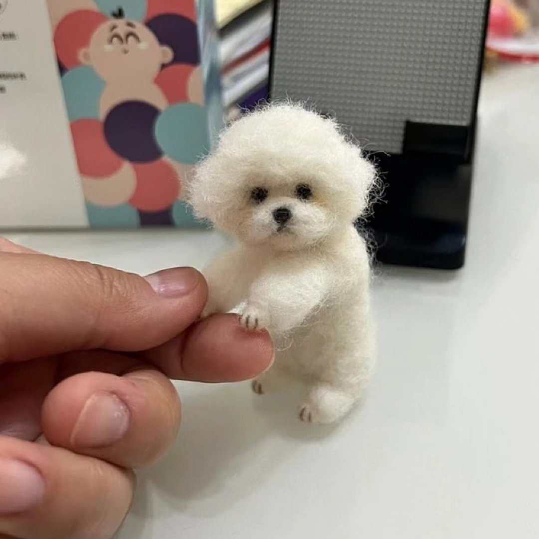 定制 逼真犬 毛孩 宠物 比熊犬 羊毛毡 娃娃 似颜绘 纪念 狗狗 i2 - 玩具 - 羊毛 多色