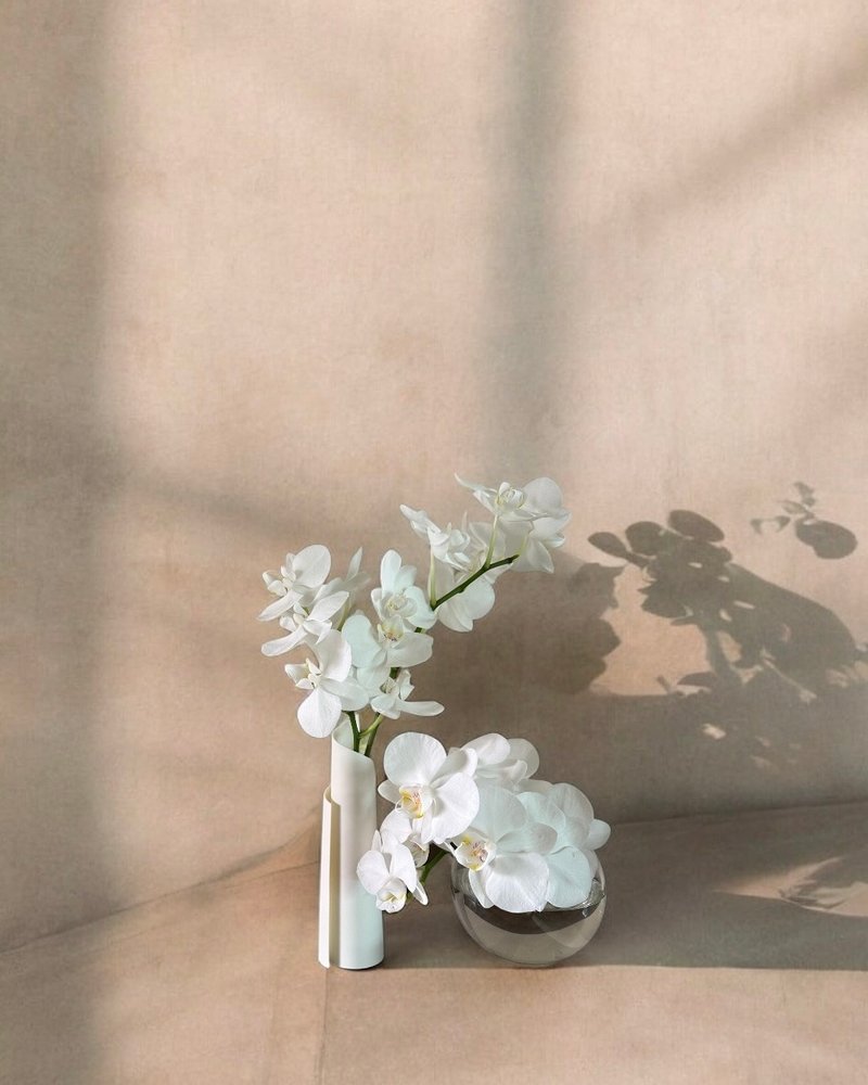 Serene 3D打印 卷影花瓶 - 花瓶/陶器 - 其他材质 白色