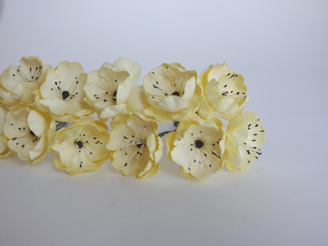 纸花，DIY 用品 20 片牡丹花，尺寸 3.5 厘米，黄色，黑色花粉 - 其他 - 纸 黄色