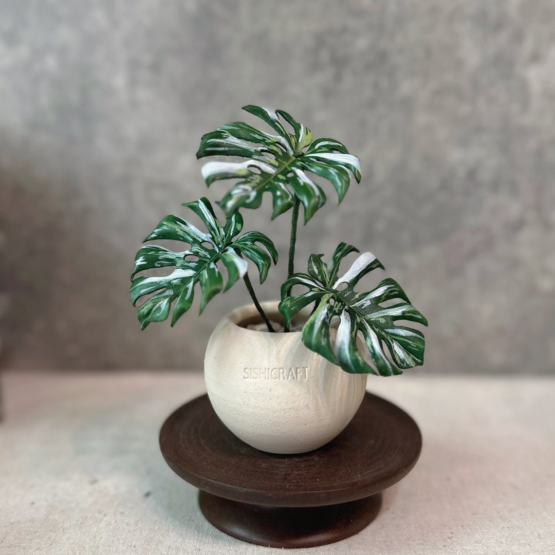 白斑龟背芋－手工革制小盆栽 送礼 - 植栽/盆栽 - 真皮 