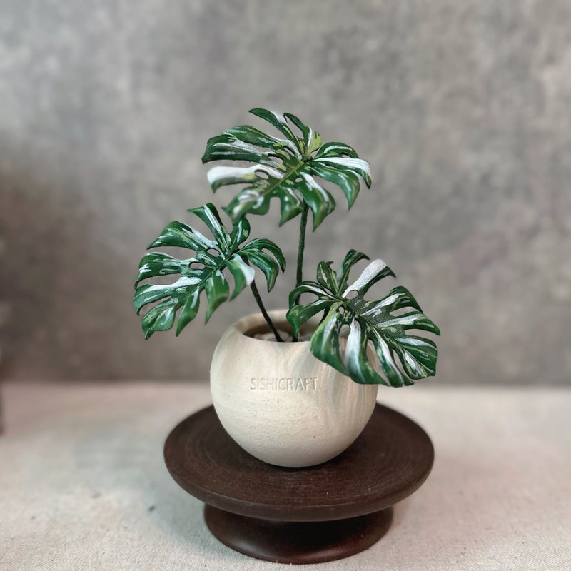 白斑龟背芋－手工革制小盆栽 送礼 - 植栽/盆栽 - 真皮 