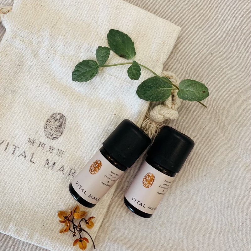 【活力专注精油】专注记忆系列套组 |  思绪清晰  圣诞节 礼物 - 香薰/精油/线香 - 精油 